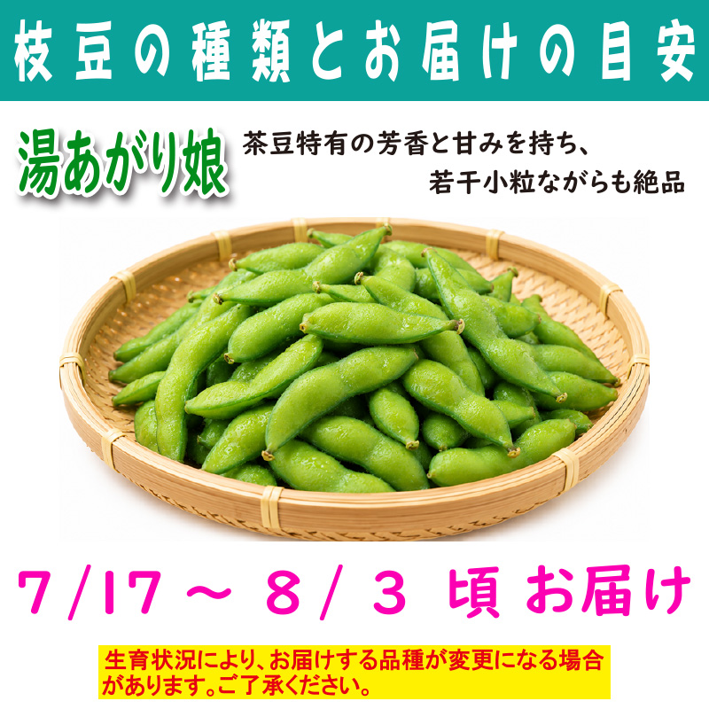 農家さんこだわりの美味しい枝豆　１袋300g【4ptプレゼント】の画像