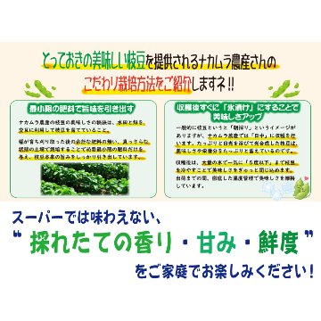 農家さんこだわりの美味しい枝豆　１袋300g【4ptプレゼント】の画像