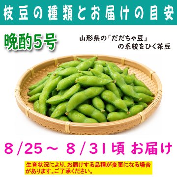 農家さんこだわりの美味しい枝豆　１袋300g【4ptプレゼント】の画像