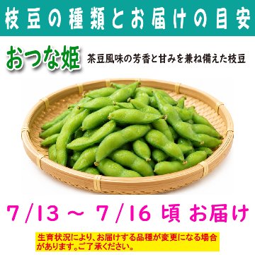 農家さんこだわりの美味しい枝豆　１袋300g【4ptプレゼント】の画像