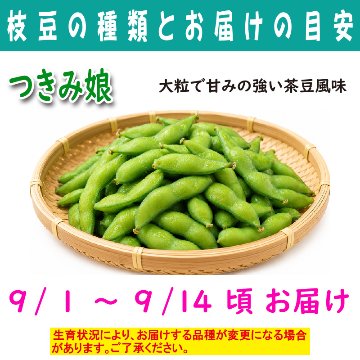 農家さんこだわりの美味しい枝豆　１袋300g【4ptプレゼント】の画像