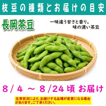 農家さんこだわりの美味しい枝豆　１袋300g【4ptプレゼント】の画像