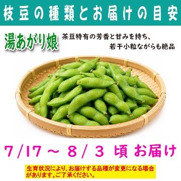 農家さんこだわりの美味しい枝豆　１袋300g【4ptプレゼント】の画像