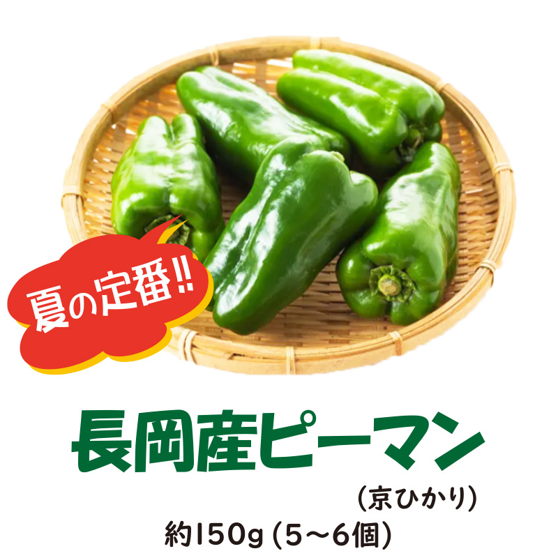 長岡産　ピーマン(京ひかり) 約150g【1ptプレゼント】の画像