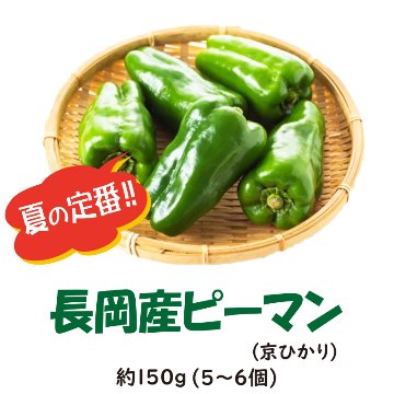 長岡産　ピーマン(京ひかり) 約150g【1ptプレゼント】の画像