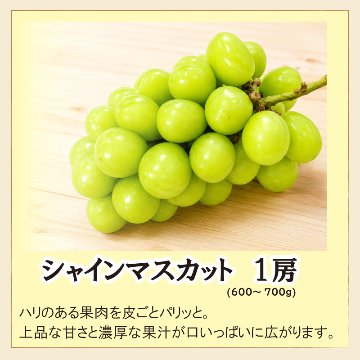 シャインマスカット　１房【23ptプレゼント】の画像