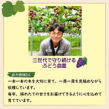 シャインマスカット　１房【23ptプレゼント】の画像