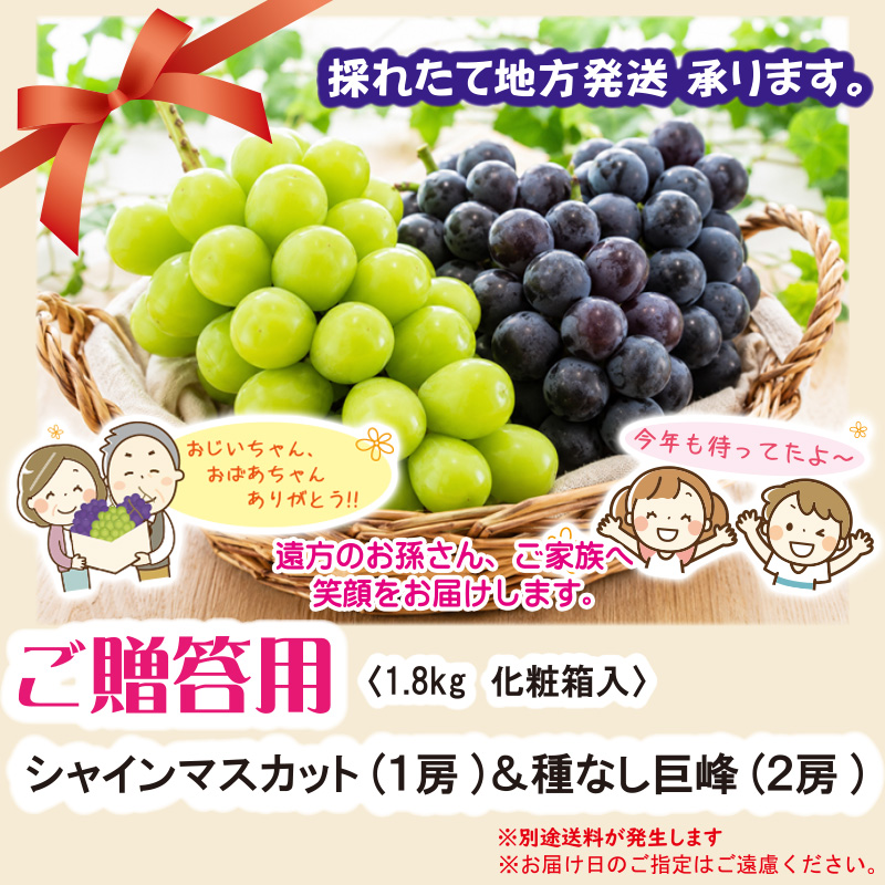 ご贈答用　化粧箱入り【51ptプレゼント】の画像