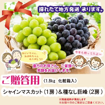 ご贈答用　化粧箱入り【51ptプレゼント】の画像
