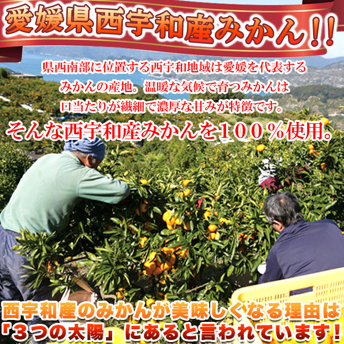 【送料無料(沖縄・離島への配送不可)】愛媛県西宇和産みかん100%使用!!えひめのあまーい冷凍みかんどっさり21個【89ptプレゼント】の画像