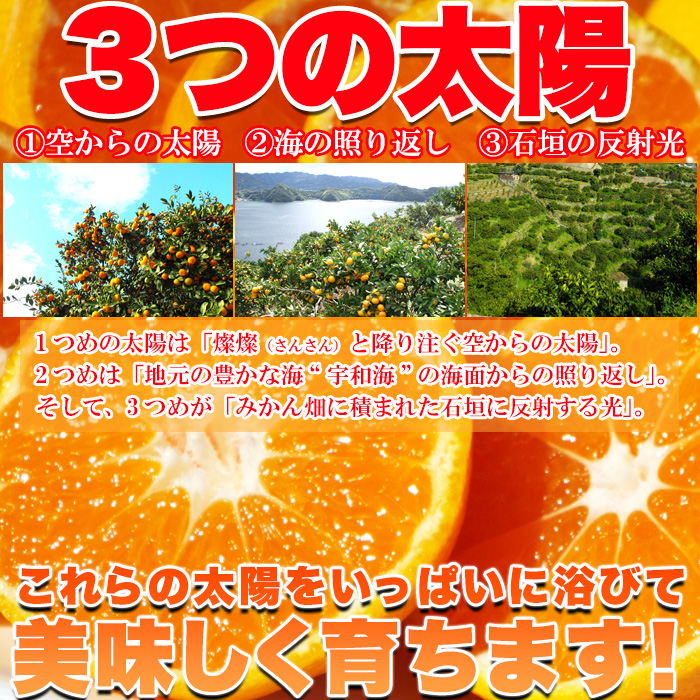 【送料無料(沖縄・離島への配送不可)】愛媛県西宇和産みかん100%使用!!えひめのあまーい冷凍みかんどっさり21個【89ptプレゼント】の画像