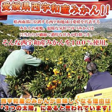 【送料無料(沖縄・離島への配送不可)】愛媛県西宇和産みかん100%使用!!えひめのあまーい冷凍みかんどっさり21個【89ptプレゼント】の画像