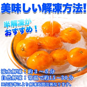 【送料無料(沖縄・離島への配送不可)】愛媛県西宇和産みかん100%使用!!えひめのあまーい冷凍みかんどっさり21個【89ptプレゼント】の画像