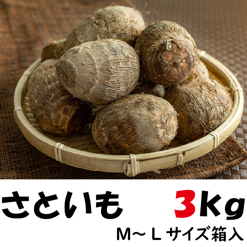 長岡産　さといも　3㎏【70ptプレゼント】の画像