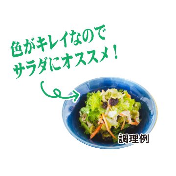 純越後青うちまめ(70g)【2ptプレゼント】の画像