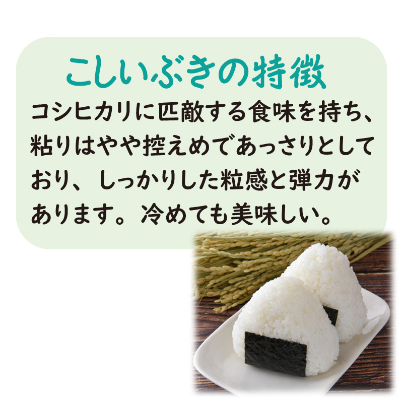 新米!令和7年産 新潟県長岡産こしいぶき白米5kg【29ptプレゼント】の画像