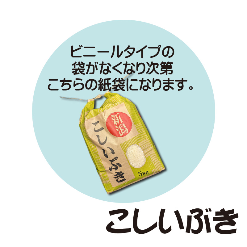 新米!令和7年産 新潟県長岡産こしいぶき白米5kg【29ptプレゼント】の画像