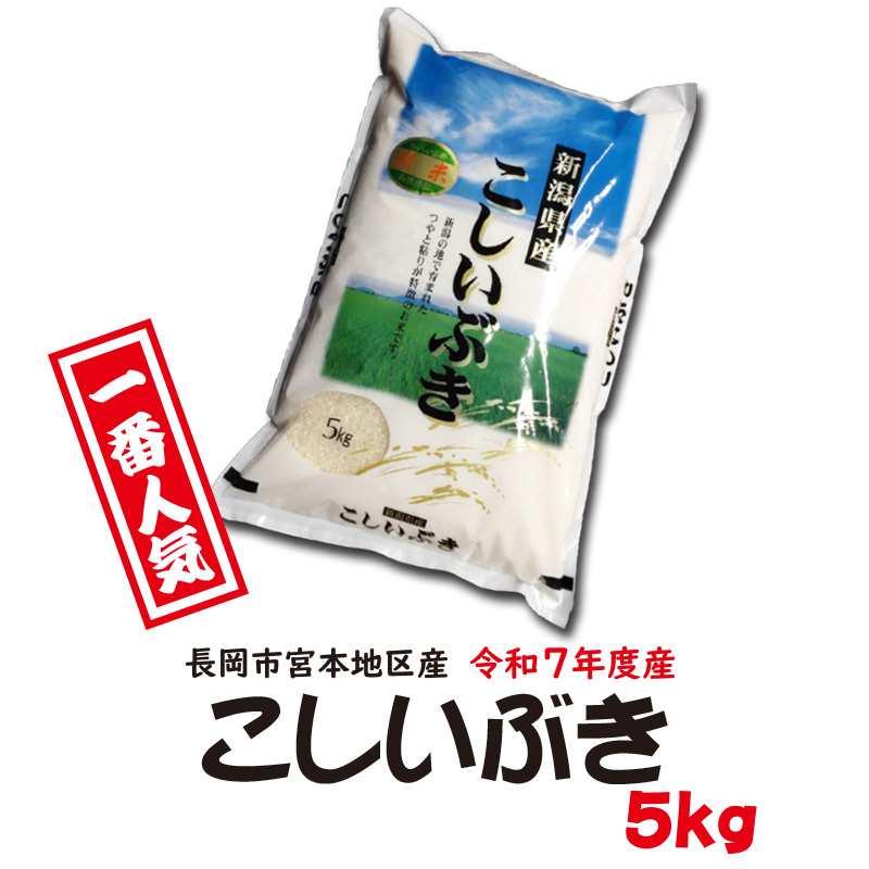 新米!令和7年産 新潟県長岡産こしいぶき白米5kg【29ptプレゼント】の画像