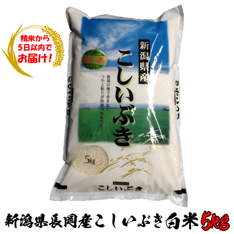 【精米から5日以内でお届け!】令和6年産 新潟県長岡産こしいぶき白米5kg【89ptプレゼント】の画像