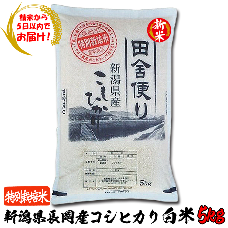 【精米から5日以内でお届け!】令和6年産 新潟県長岡産 特別栽培米コシヒカリ白米5kg【91ptプレゼント】の画像