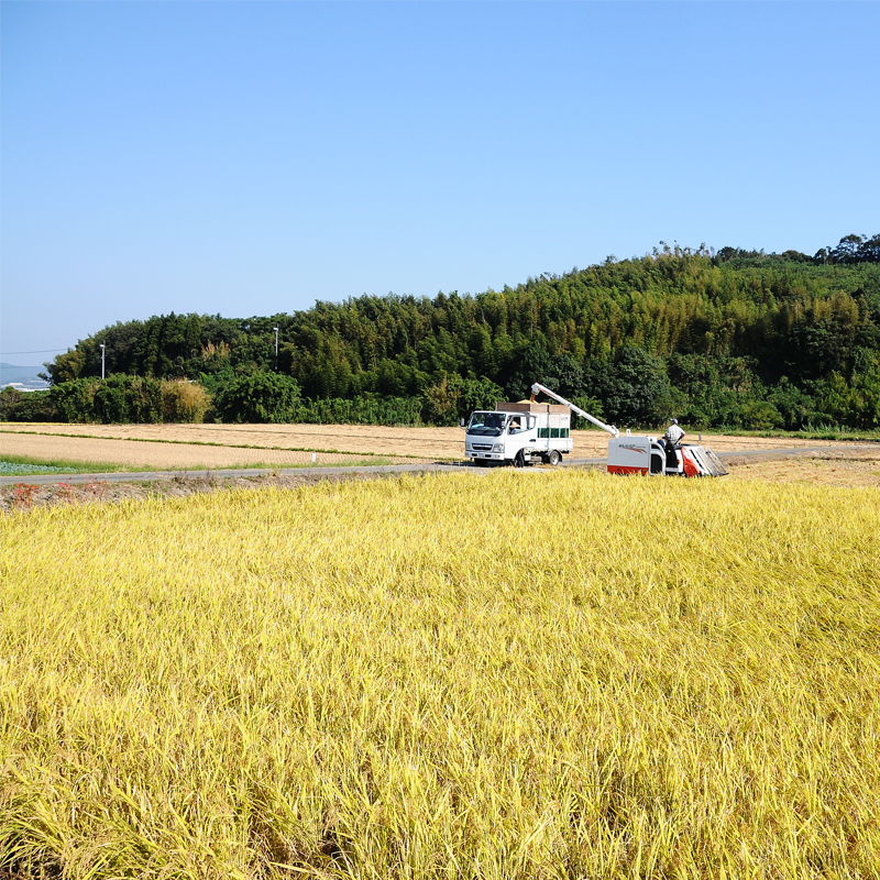 【精米から5日以内でお届け!】令和6年産 新潟県魚沼産 特別栽培米コシヒカリ白米2kg【45ptプレゼント】の画像