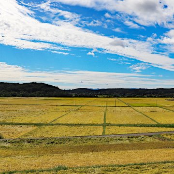 【精米から5日以内でお届け!】令和6年産 新潟県魚沼産 特別栽培米コシヒカリ白米2kg【45ptプレゼント】の画像