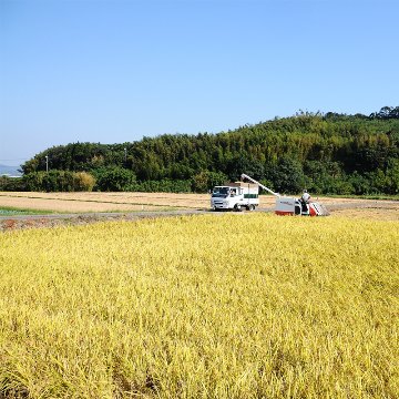 【精米から5日以内でお届け!】令和6年産 新潟県魚沼産 特別栽培米コシヒカリ白米2kg【45ptプレゼント】の画像