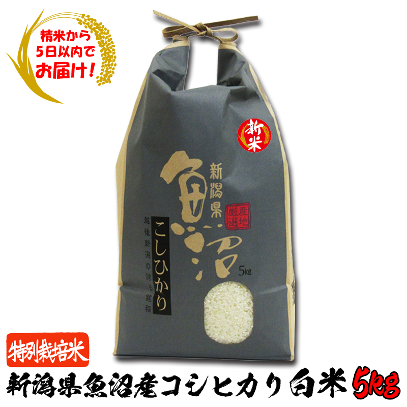 【精米から5日以内でお届け!】令和6年産 新潟県魚沼産 特別栽培米コシヒカリ白米5kg【114ptプレゼント】の画像