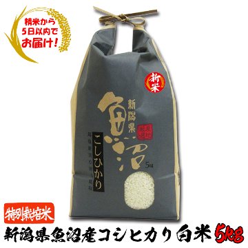 【精米から5日以内でお届け!】令和6年産 新潟県魚沼産 特別栽培米コシヒカリ白米5kg【114ptプレゼント】の画像