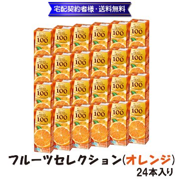 フルーツセレクション　オレンジ100ジュース(24本入)【103ptプレゼント】の画像