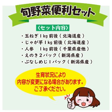 目利き八百屋さんの旬野菜便利セット【67ptプレゼント】の画像