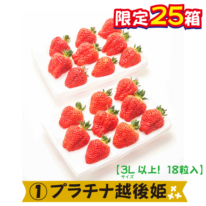 ①プラチナ越後姫【56ptプレゼント】の画像