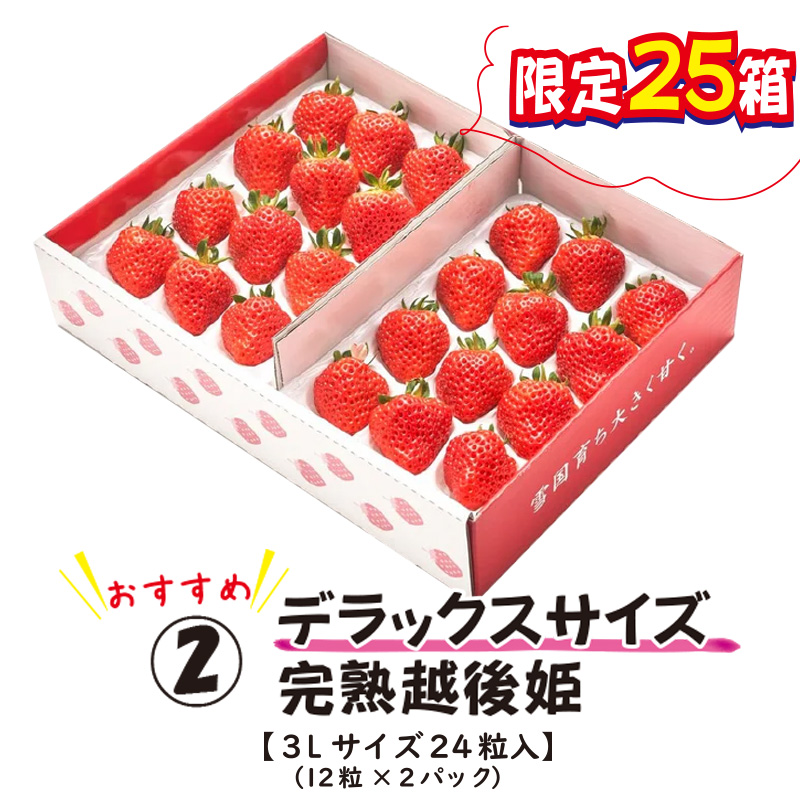 ②デラックスサイズ完熟越後姫【46ptプレゼント】の画像