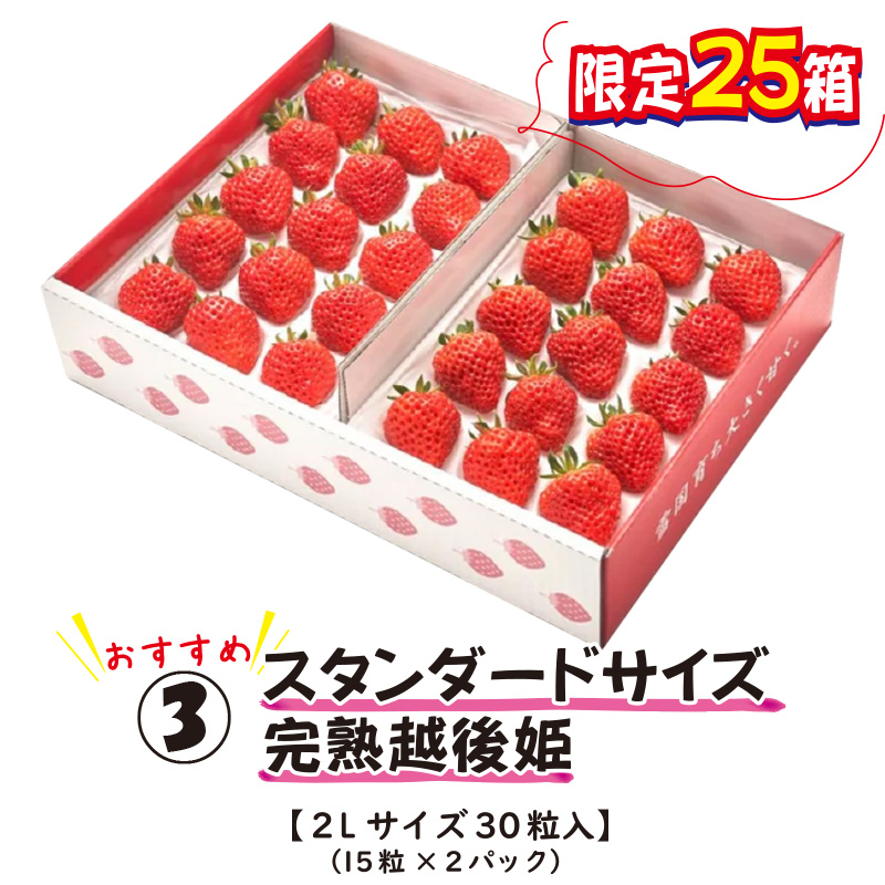 ③スタンダードサイズ完熟越後姫【43ptプレゼント】の画像