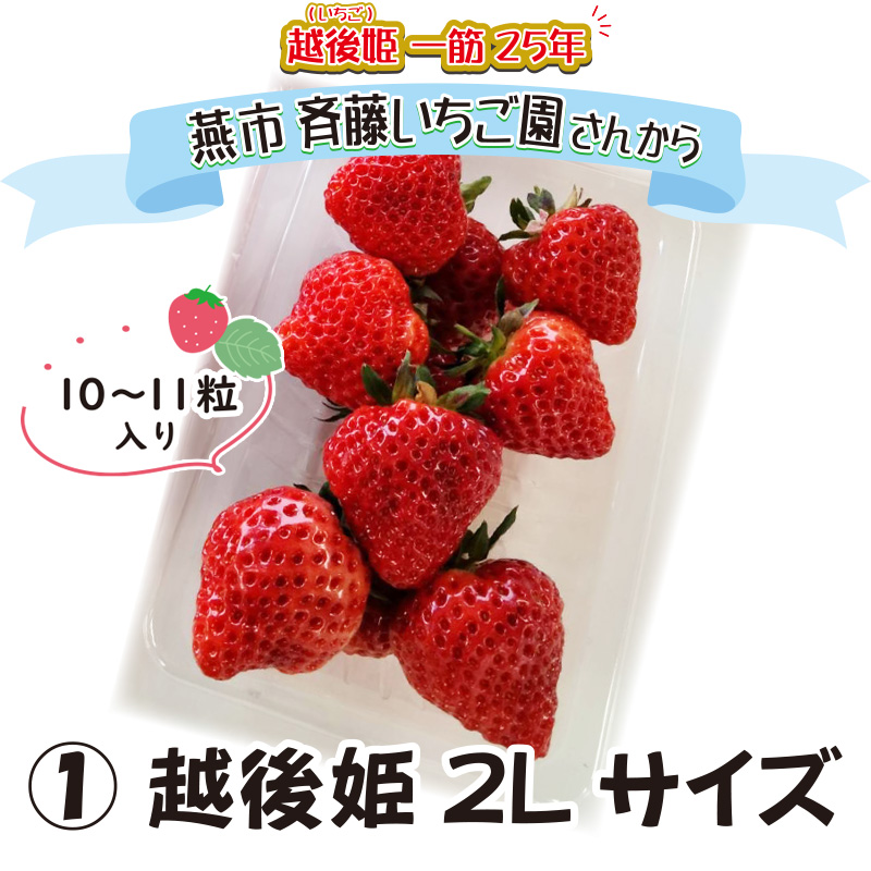 ①越後姫　2Lサイズ【8ptプレゼント】の画像