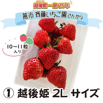 ①越後姫　2Lサイズ【8ptプレゼント】の画像