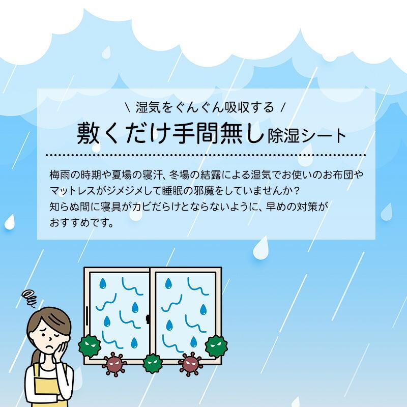 備長炭入り 洗える除湿シート【27ptプレゼント】の画像