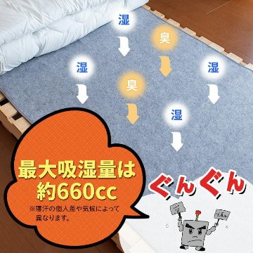 備長炭入り 洗える除湿シート【27ptプレゼント】の画像