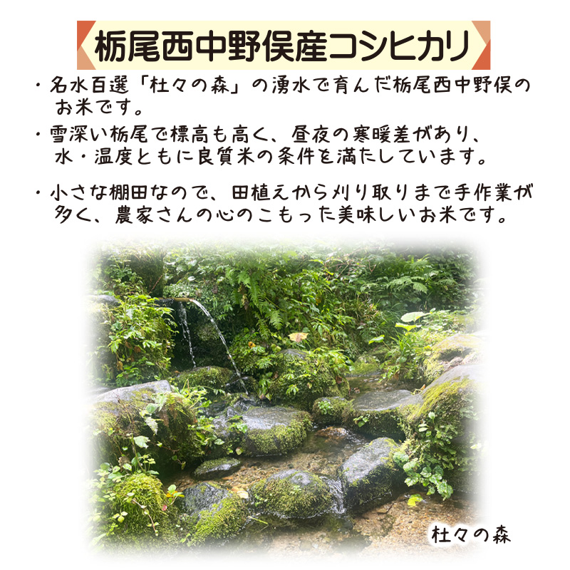 令和7年産 新潟県栃尾産コシヒカリ　越の輝米　5kg【45ptプレゼント】の画像
