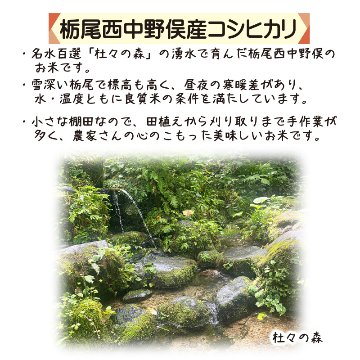 令和7年産 新潟県栃尾産コシヒカリ　越の輝米　5kg【45ptプレゼント】の画像