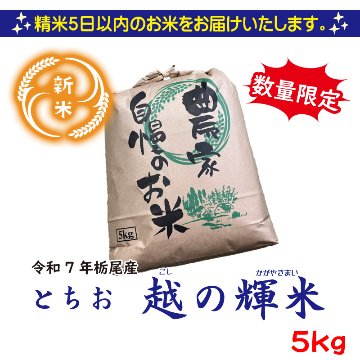 新米!令和7年産 新潟県栃尾産コシヒカリ　越の輝米　5kg【49ptプレゼント】の画像