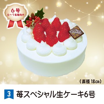 ③＜さかたや＞苺スペシャル生ケーキ　5号【65ptプレゼント】の画像