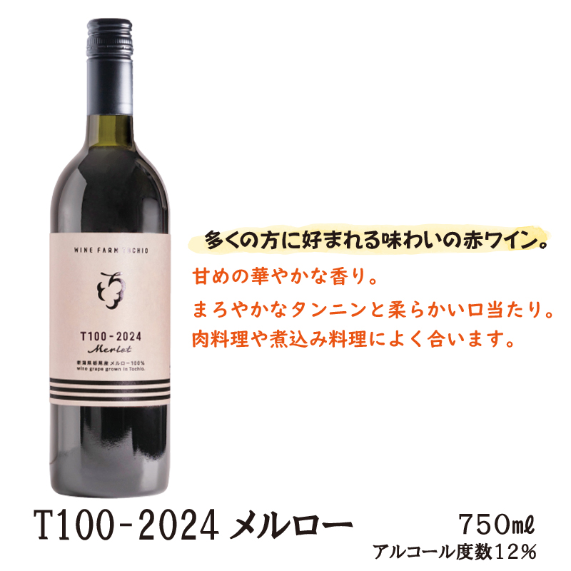 栃尾ワインT100-2024メルロー　750ml【32ptプレゼント】の画像