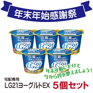 年末年始感謝祭　宅配専用LG21ヨーグルト　5個セット【6ptプレゼント】の画像