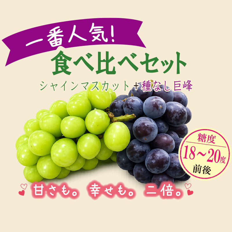 ぶどう　食べ比べセット【33ptプレゼント】の画像
