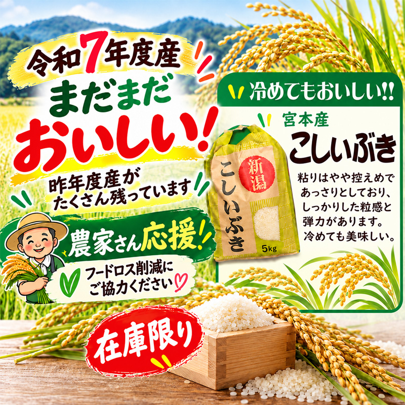 まだまだおいしい!!令和7年産 新潟県長岡産こしいぶき白米5kg【29ptプレゼント】の画像