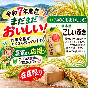 まだまだおいしい!!令和7年産 新潟県長岡産こしいぶき白米5kg【29ptプレゼント】の画像