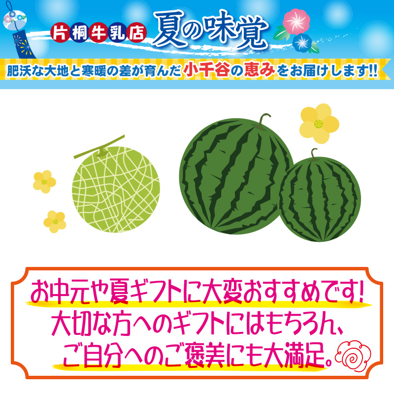 箱入り　ユウカメロン2玉【32ptプレゼント】の画像