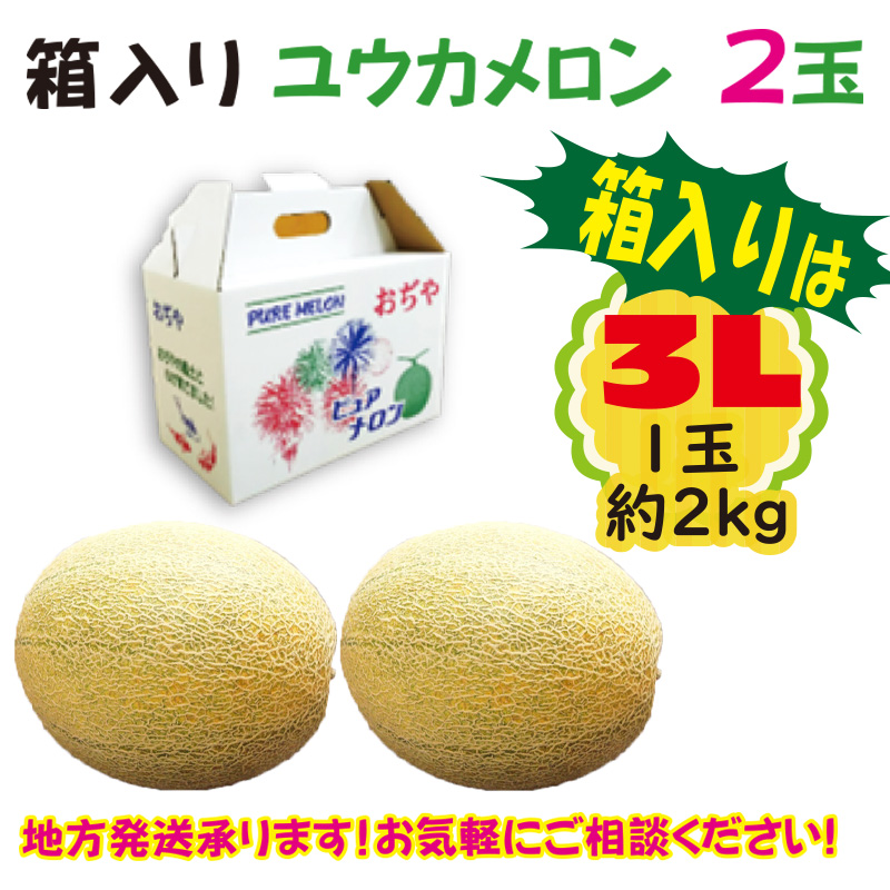 箱入り　ユウカメロン2玉【32ptプレゼント】の画像