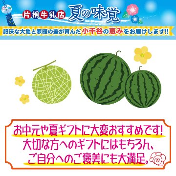 箱入り　ユウカメロン2玉【32ptプレゼント】の画像